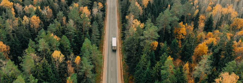 Truck driving through a forest